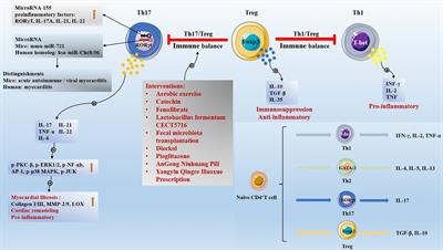 Targeting regulatory T cells for cardiovascular diseases